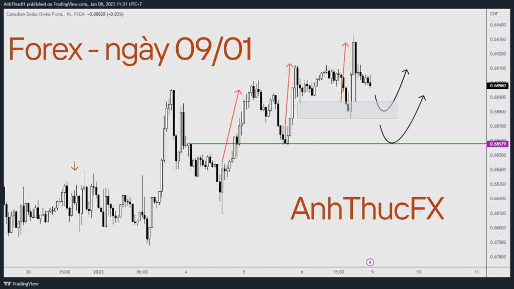 Hôm nay trade gì - Forex ngày 09.01