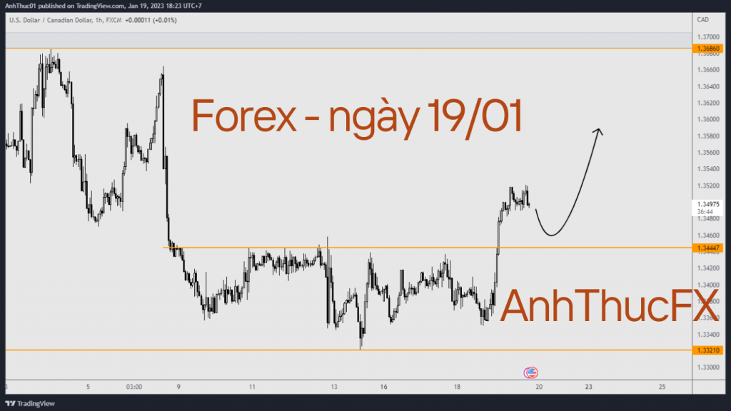 Nhận định thị trường Forex ngày 19.01